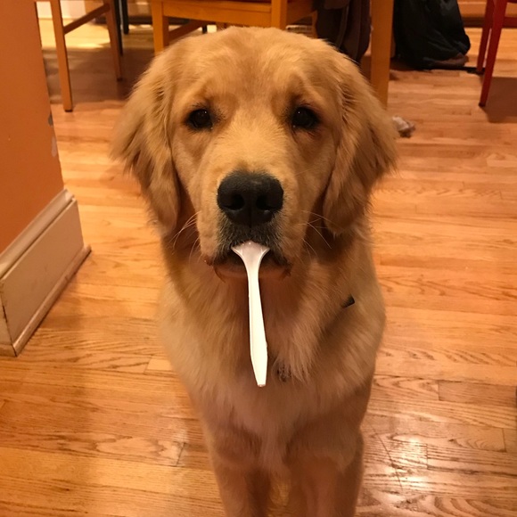 Meet your Posher, Marcie - Picture 1 of 1